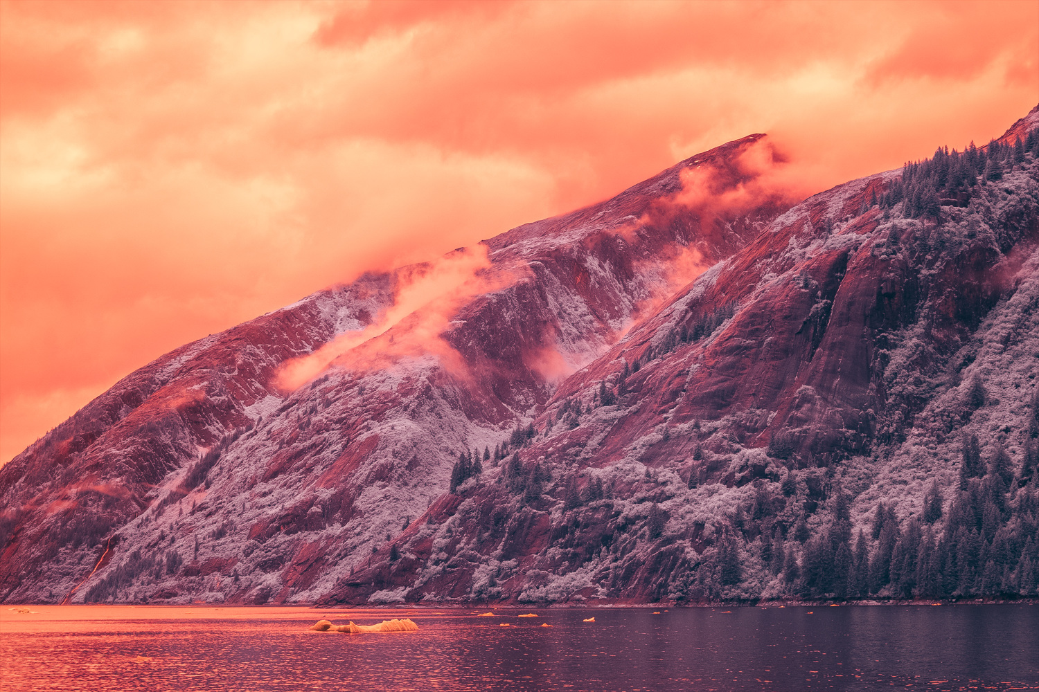 Tracy Arm Fjord